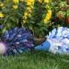 Hedgepigs Hedgepigs