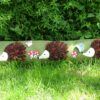 cover pic cover pic