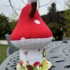 IMG_4440 IMG_4440